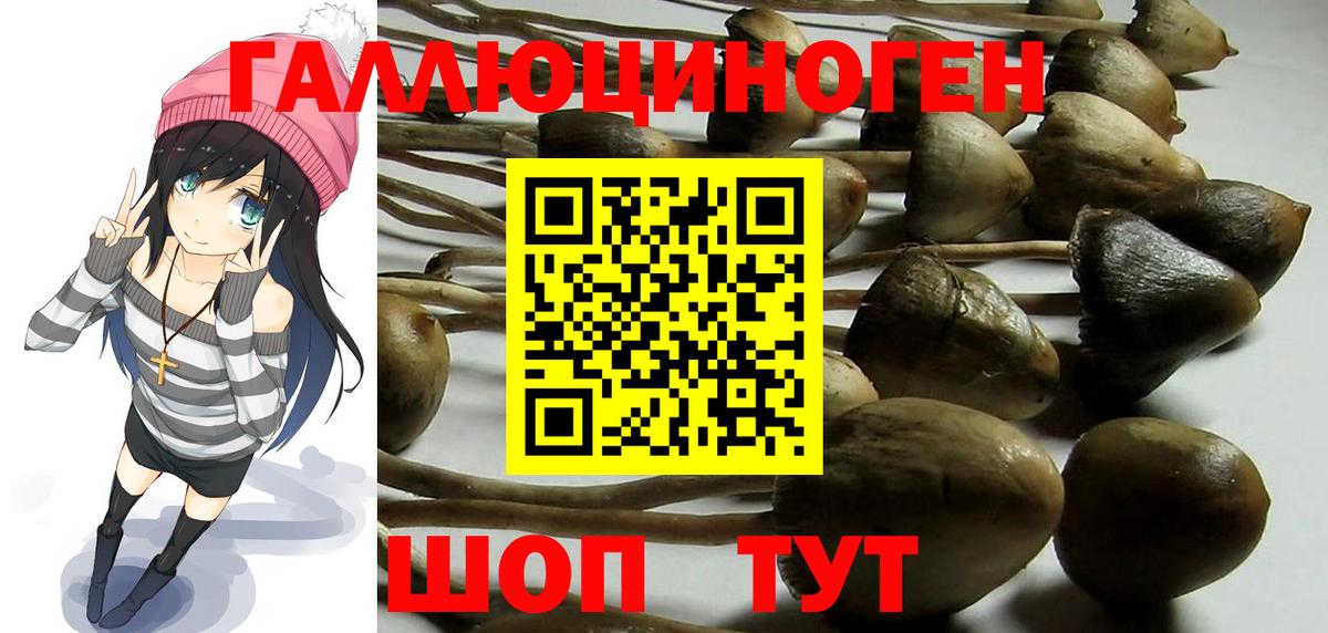где купить   Псилоцибиновые грибы Magic Shrooms  Муром  Вход с VPN  Галлюциногенные грибы мухоморы 